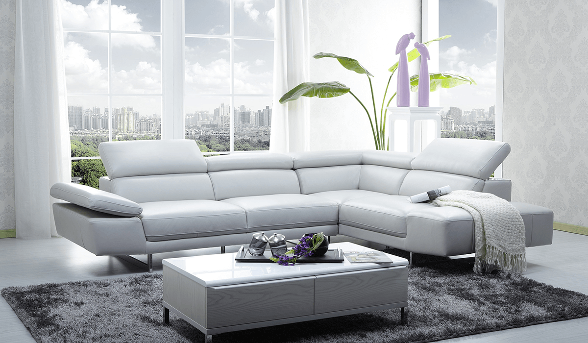 Fall decoration trends for your home & office