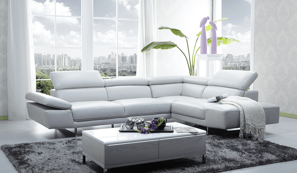 Fall decoration trends for your home & office